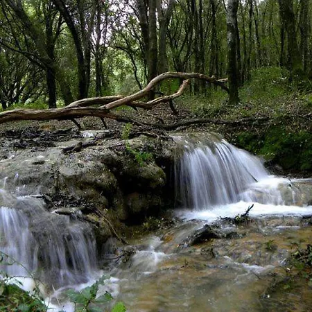 Panorama Penthouse Con Giardino Privato Appartamento