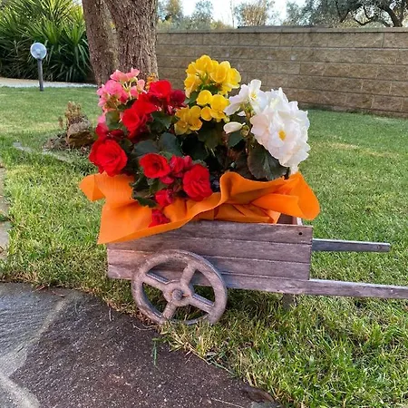 Panorama Penthouse Con Giardino Privato * Santadi